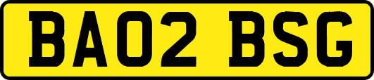 BA02BSG