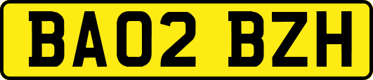 BA02BZH
