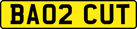 BA02CUT