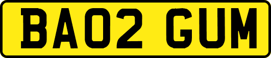 BA02GUM