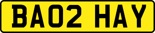 BA02HAY