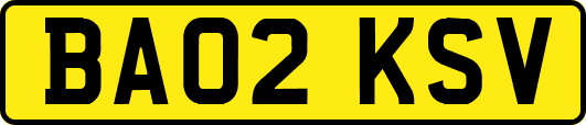 BA02KSV