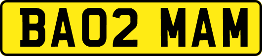 BA02MAM