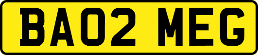 BA02MEG