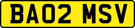 BA02MSV