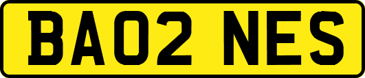 BA02NES
