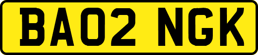 BA02NGK