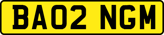 BA02NGM