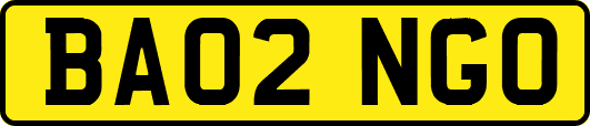BA02NGO