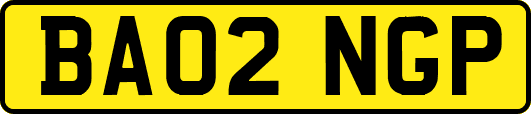 BA02NGP