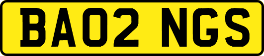 BA02NGS