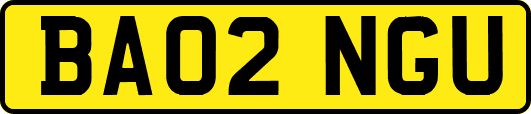 BA02NGU