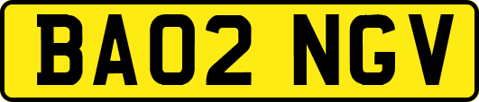 BA02NGV