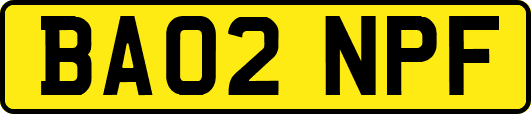 BA02NPF