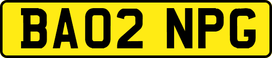 BA02NPG