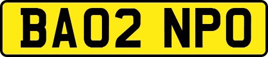 BA02NPO