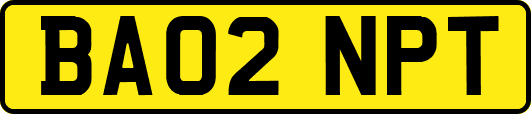 BA02NPT