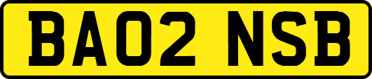 BA02NSB