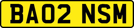 BA02NSM