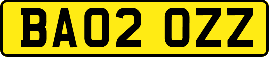 BA02OZZ