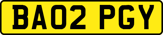 BA02PGY