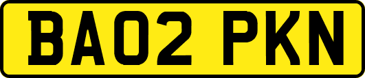 BA02PKN