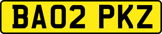 BA02PKZ