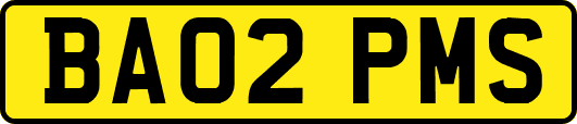 BA02PMS