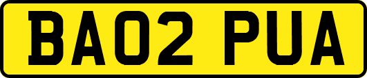 BA02PUA