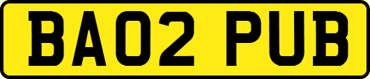 BA02PUB