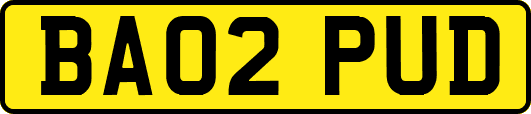 BA02PUD