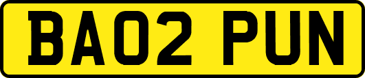 BA02PUN