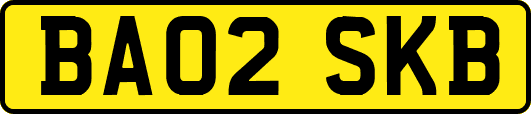 BA02SKB