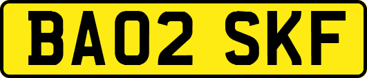 BA02SKF