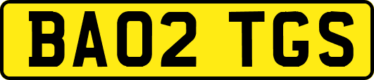 BA02TGS