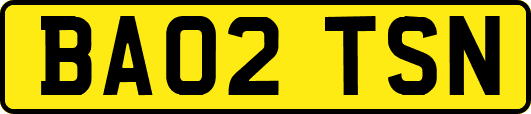 BA02TSN