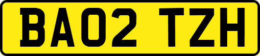 BA02TZH