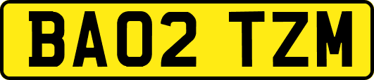 BA02TZM
