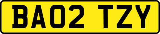BA02TZY
