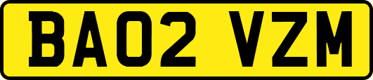 BA02VZM