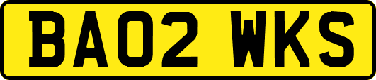 BA02WKS