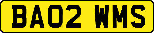 BA02WMS