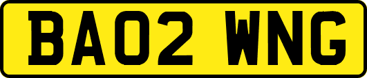 BA02WNG