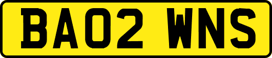 BA02WNS