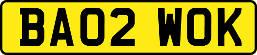 BA02WOK