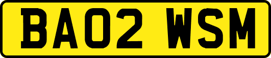 BA02WSM
