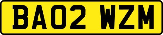 BA02WZM