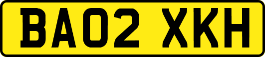 BA02XKH