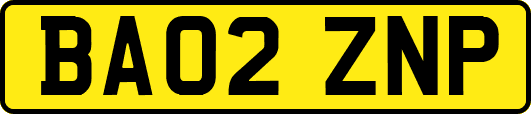 BA02ZNP