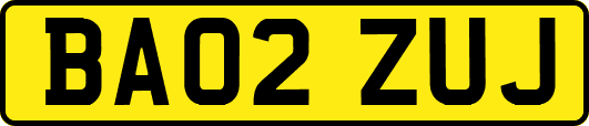 BA02ZUJ